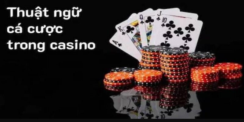 Lịch Sử Phát Triển Các Thuật Ngữ Casino